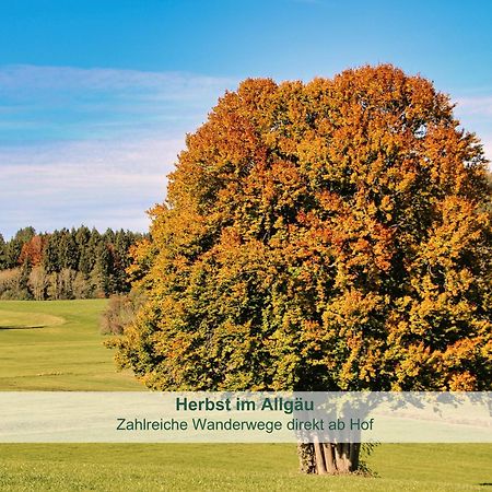 Chalet - Ferienwohnungen - Biohof Stoeger - Panoramasuedbalkon - Grandiose Aussicht Auf See, Berge Und Schloss Neuschwanstein Rieden am Forggensee Zewnętrze zdjęcie