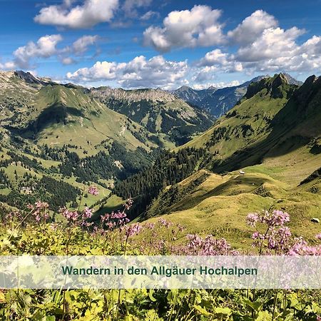 Chalet - Ferienwohnungen - Biohof Stoeger - Panoramasuedbalkon - Grandiose Aussicht Auf See, Berge Und Schloss Neuschwanstein Rieden am Forggensee Zewnętrze zdjęcie