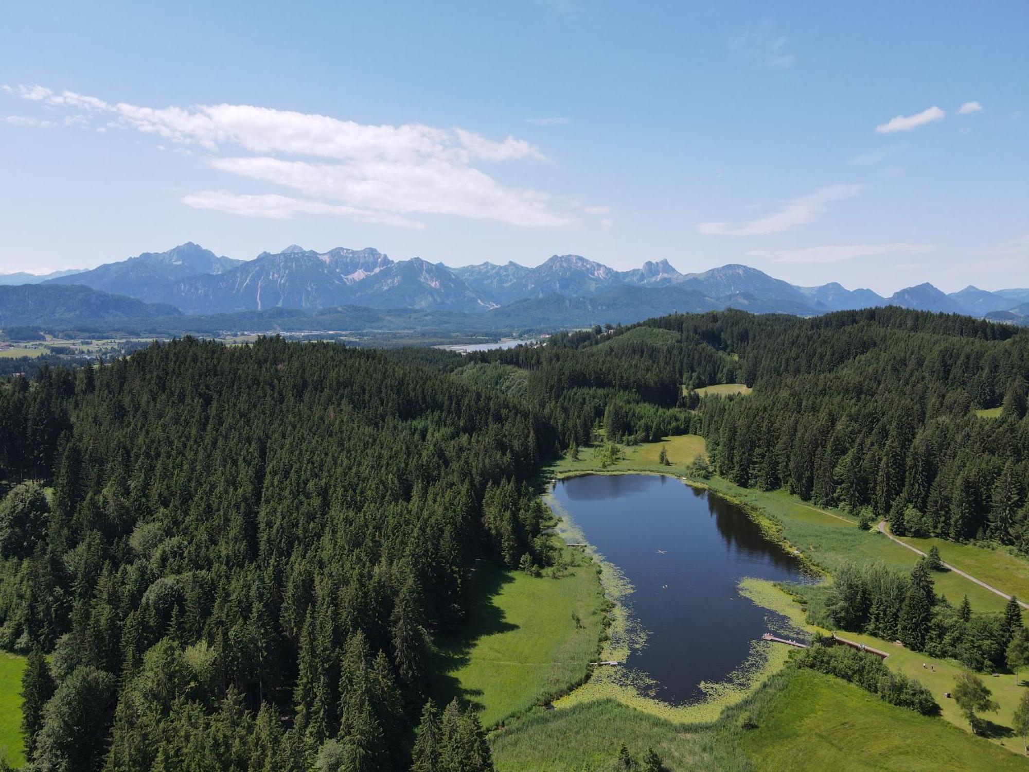 Chalet - Ferienwohnungen - Biohof Stoeger - Panoramasuedbalkon - Grandiose Aussicht Auf See, Berge Und Schloss Neuschwanstein Rieden am Forggensee Zewnętrze zdjęcie