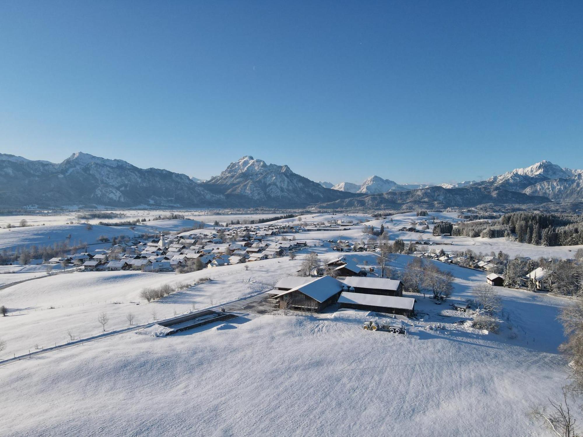Chalet - Ferienwohnungen - Biohof Stoeger - Panoramasuedbalkon - Grandiose Aussicht Auf See, Berge Und Schloss Neuschwanstein Rieden am Forggensee Zewnętrze zdjęcie