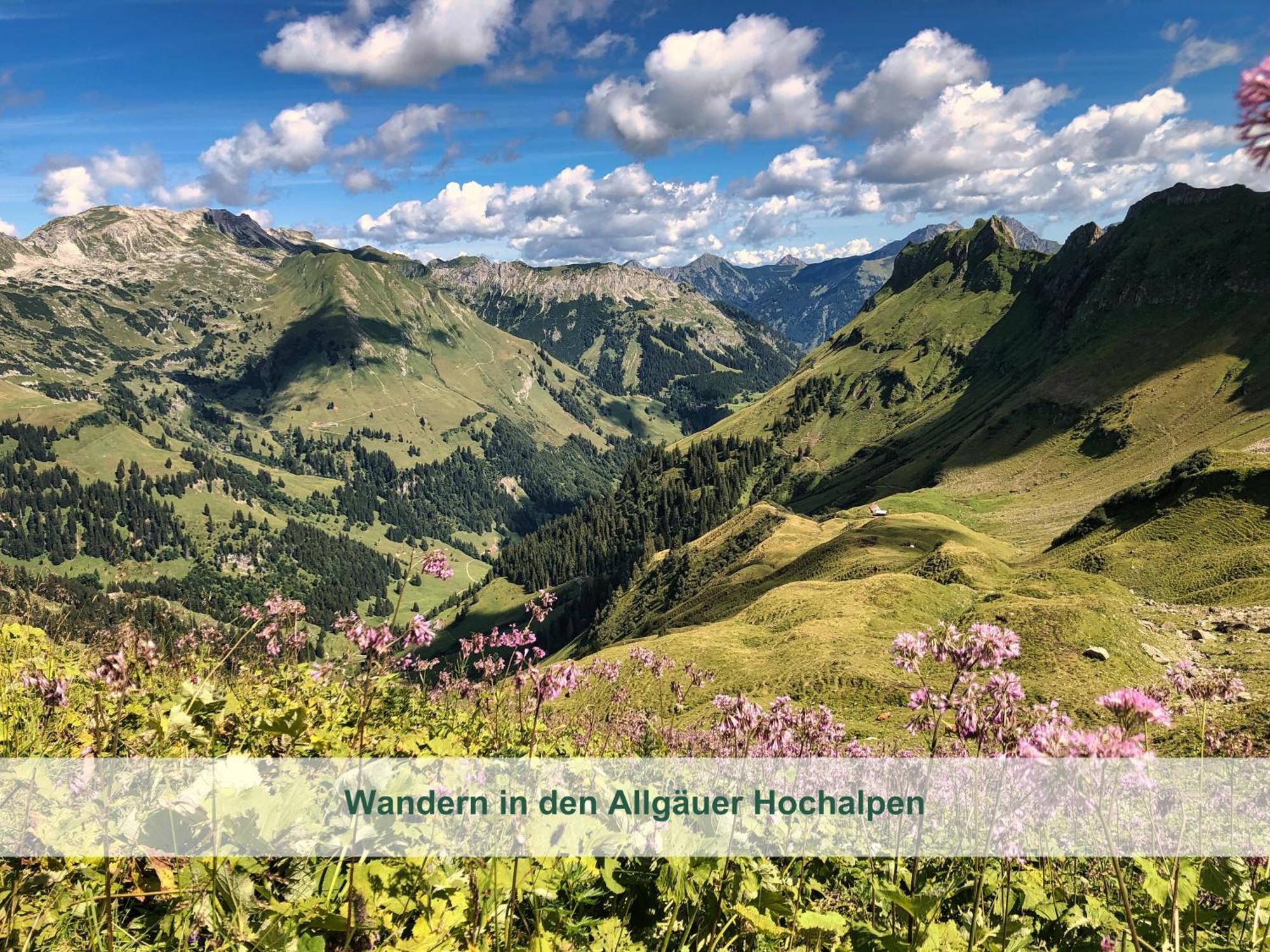 Chalet - Ferienwohnungen - Biohof Stoeger - Panoramasuedbalkon - Grandiose Aussicht Auf See, Berge Und Schloss Neuschwanstein Rieden am Forggensee Zewnętrze zdjęcie