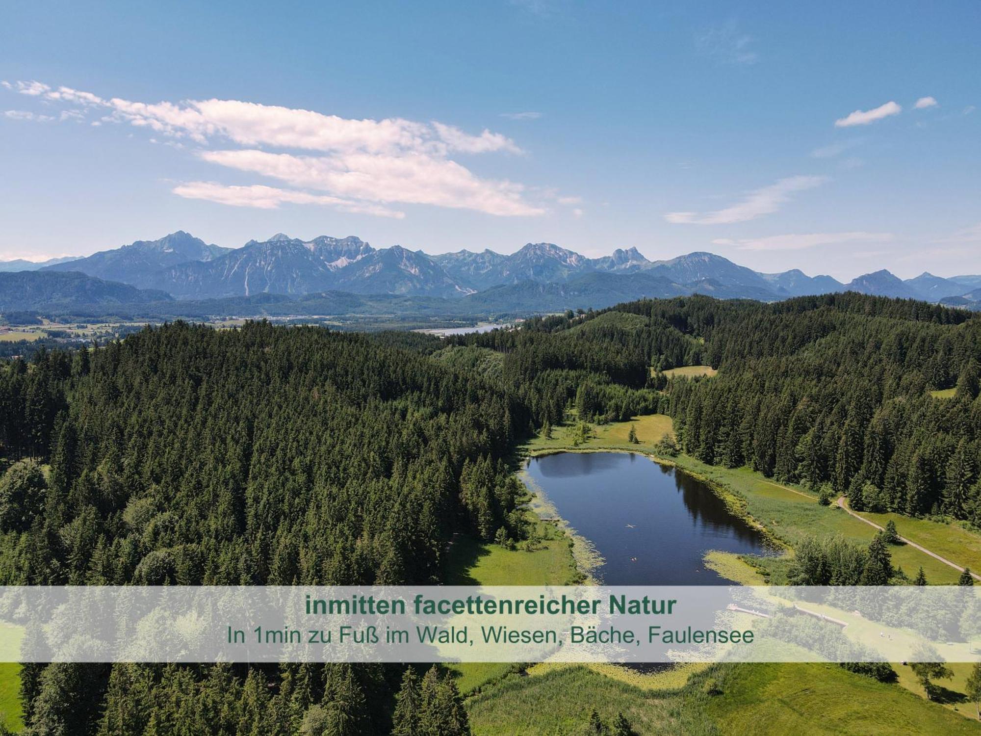 Chalet - Ferienwohnungen - Biohof Stoeger - Panoramasuedbalkon - Grandiose Aussicht Auf See, Berge Und Schloss Neuschwanstein Rieden am Forggensee Zewnętrze zdjęcie