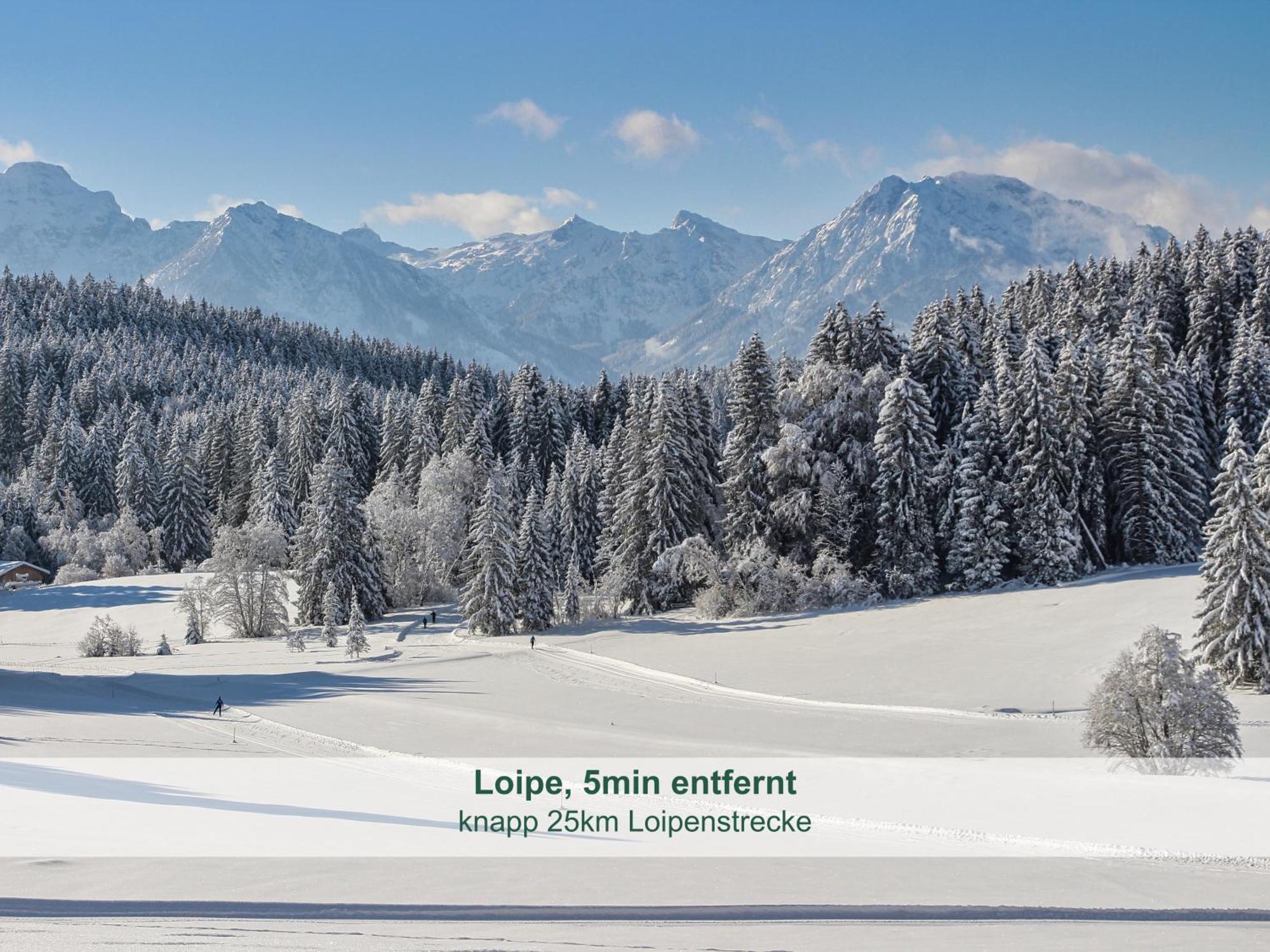 Chalet - Ferienwohnungen - Biohof Stoeger - Panoramasuedbalkon - Grandiose Aussicht Auf See, Berge Und Schloss Neuschwanstein Rieden am Forggensee Zewnętrze zdjęcie
