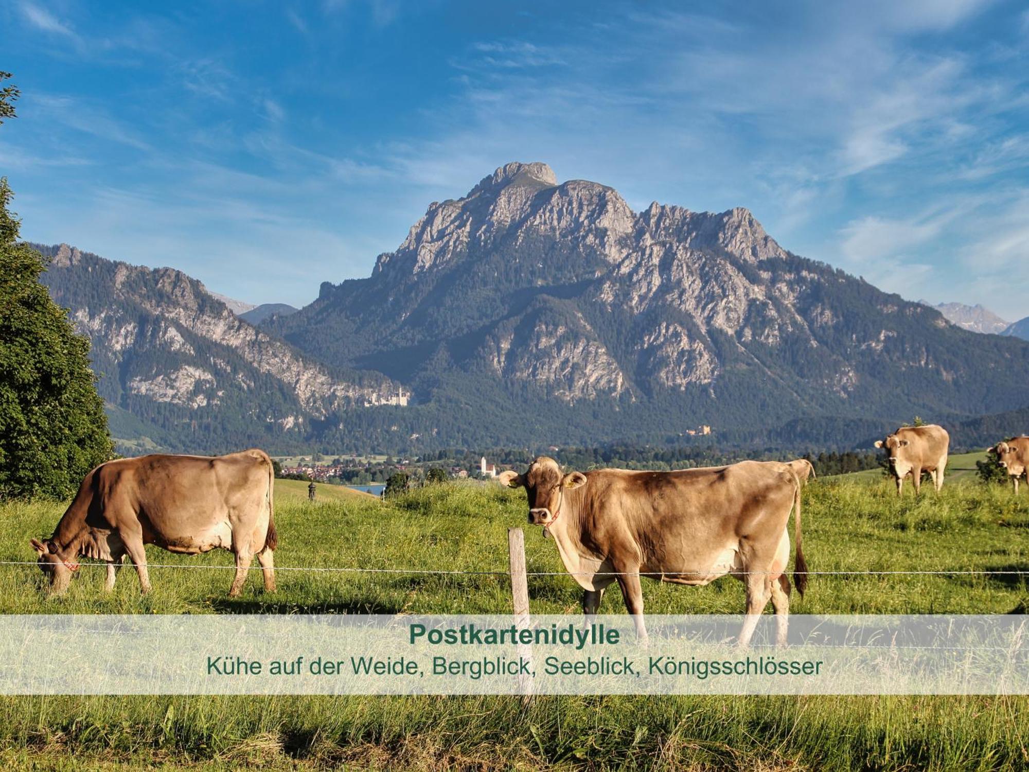 Chalet - Ferienwohnungen - Biohof Stoeger - Panoramasuedbalkon - Grandiose Aussicht Auf See, Berge Und Schloss Neuschwanstein Rieden am Forggensee Zewnętrze zdjęcie