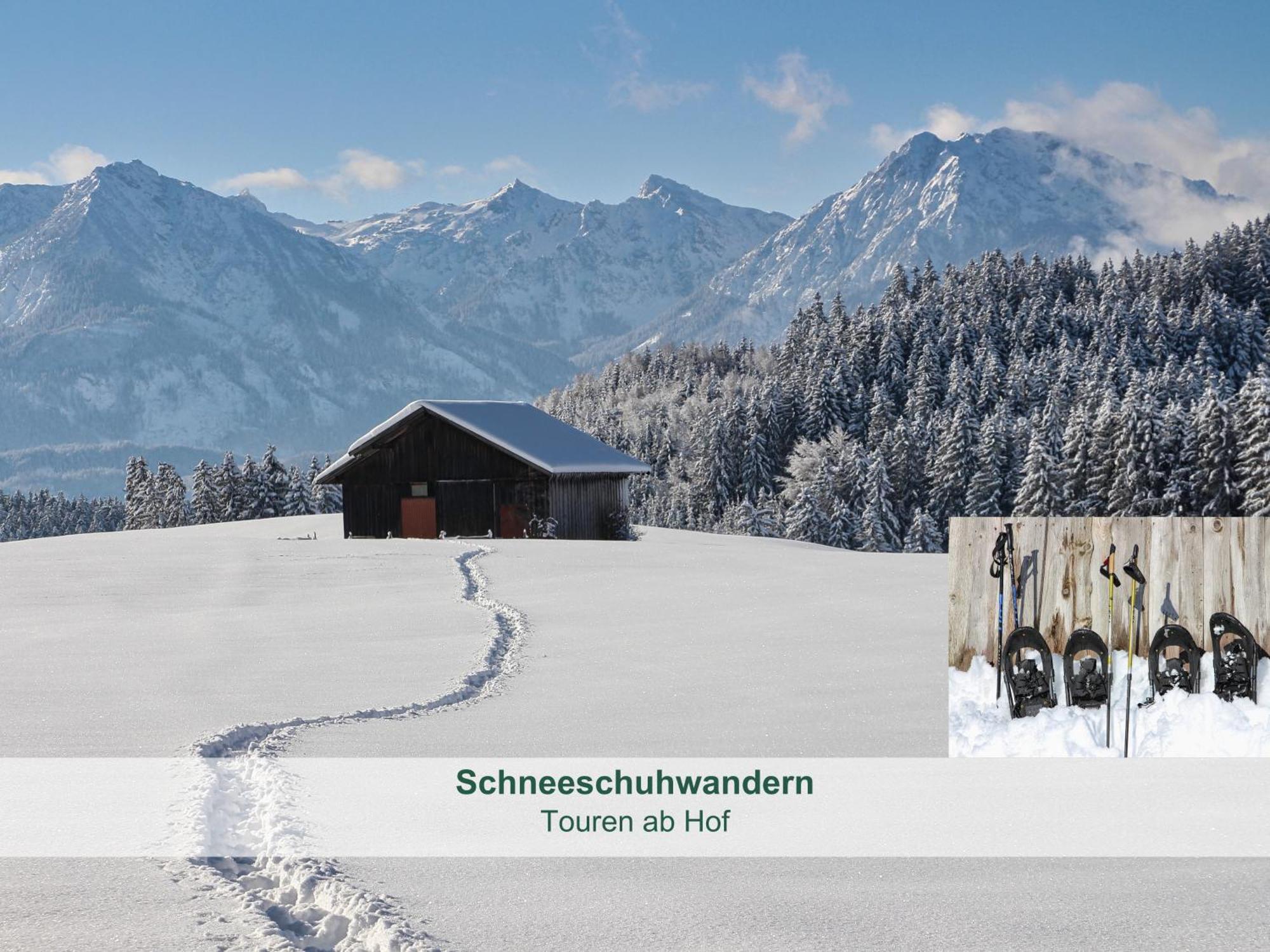 Chalet - Ferienwohnungen - Biohof Stoeger - Panoramasuedbalkon - Grandiose Aussicht Auf See, Berge Und Schloss Neuschwanstein Rieden am Forggensee Zewnętrze zdjęcie