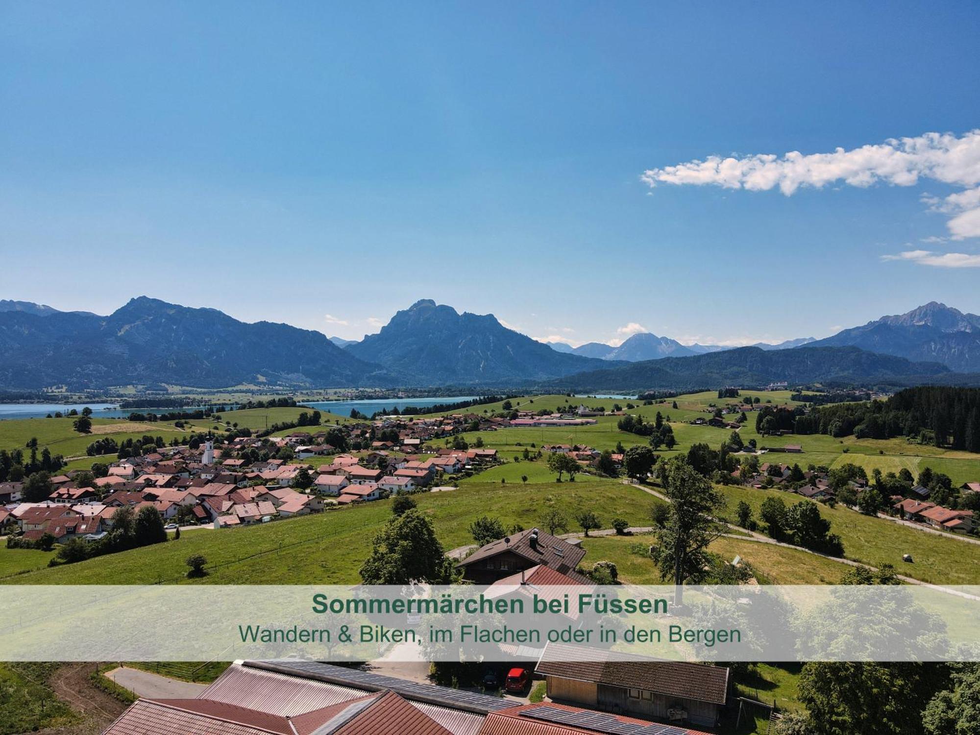 Chalet - Ferienwohnungen - Biohof Stoeger - Panoramasuedbalkon - Grandiose Aussicht Auf See, Berge Und Schloss Neuschwanstein Rieden am Forggensee Zewnętrze zdjęcie