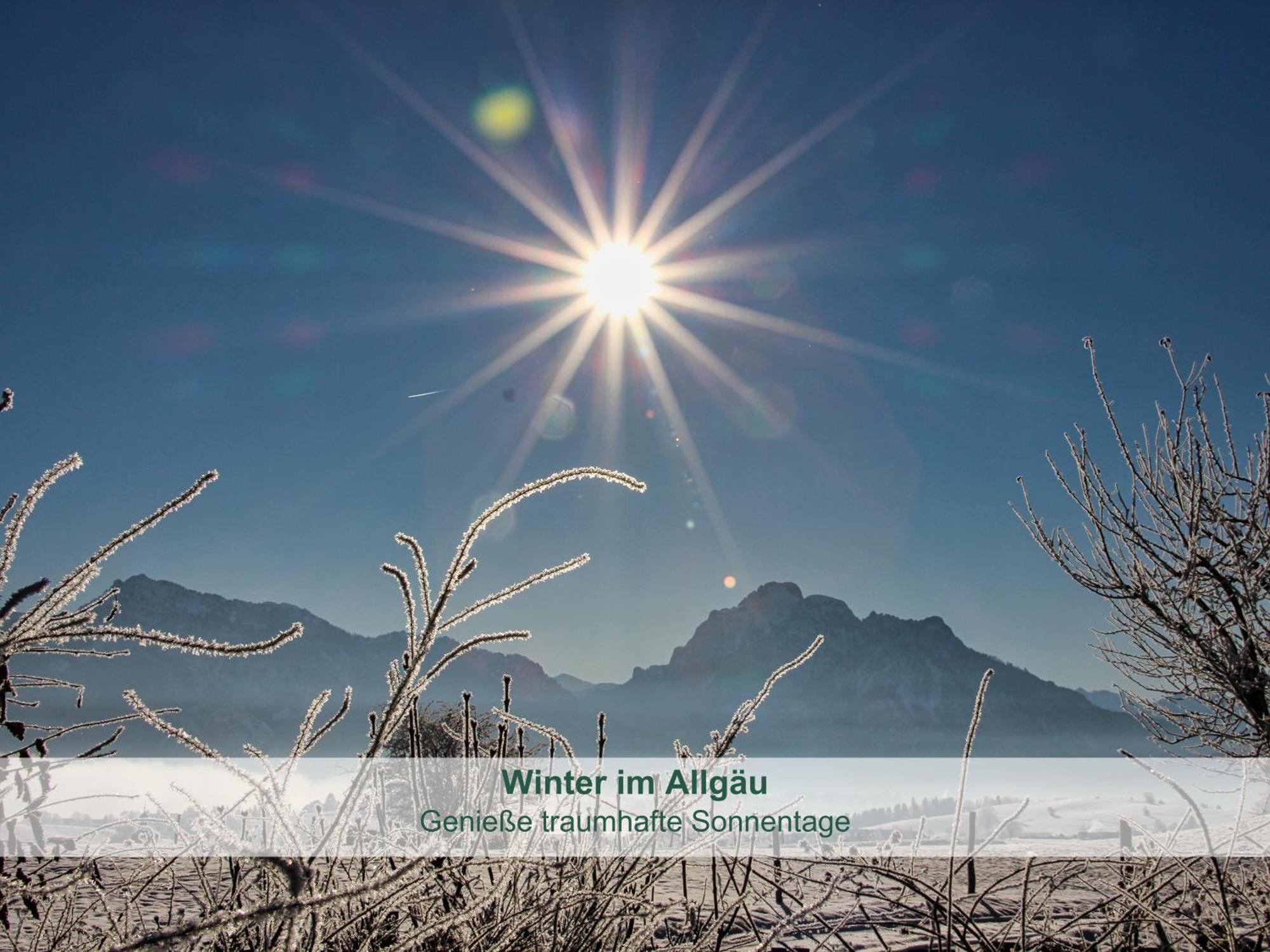 Chalet - Ferienwohnungen - Biohof Stoeger - Panoramasuedbalkon - Grandiose Aussicht Auf See, Berge Und Schloss Neuschwanstein Rieden am Forggensee Zewnętrze zdjęcie