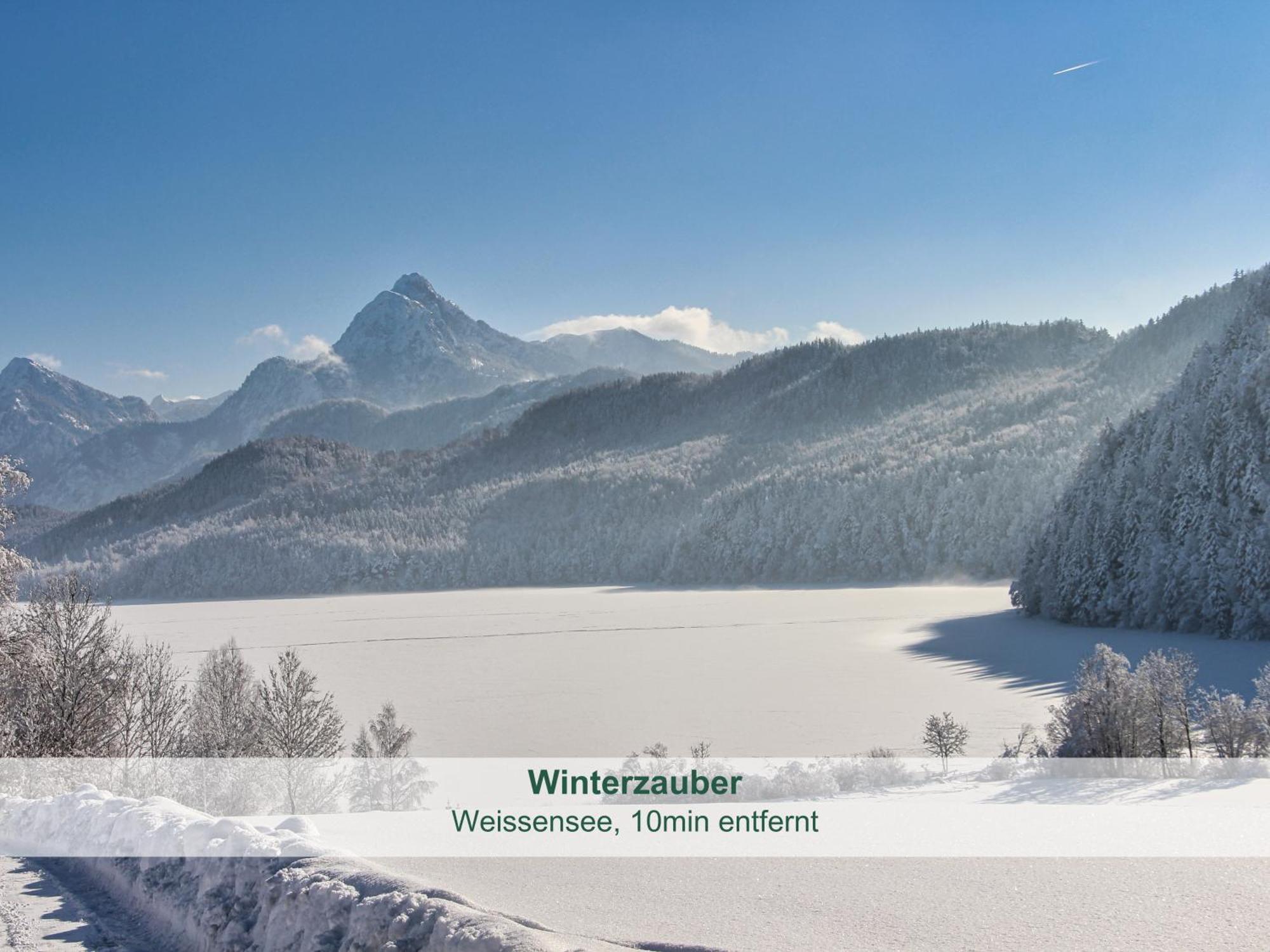 Chalet - Ferienwohnungen - Biohof Stoeger - Panoramasuedbalkon - Grandiose Aussicht Auf See, Berge Und Schloss Neuschwanstein Rieden am Forggensee Zewnętrze zdjęcie