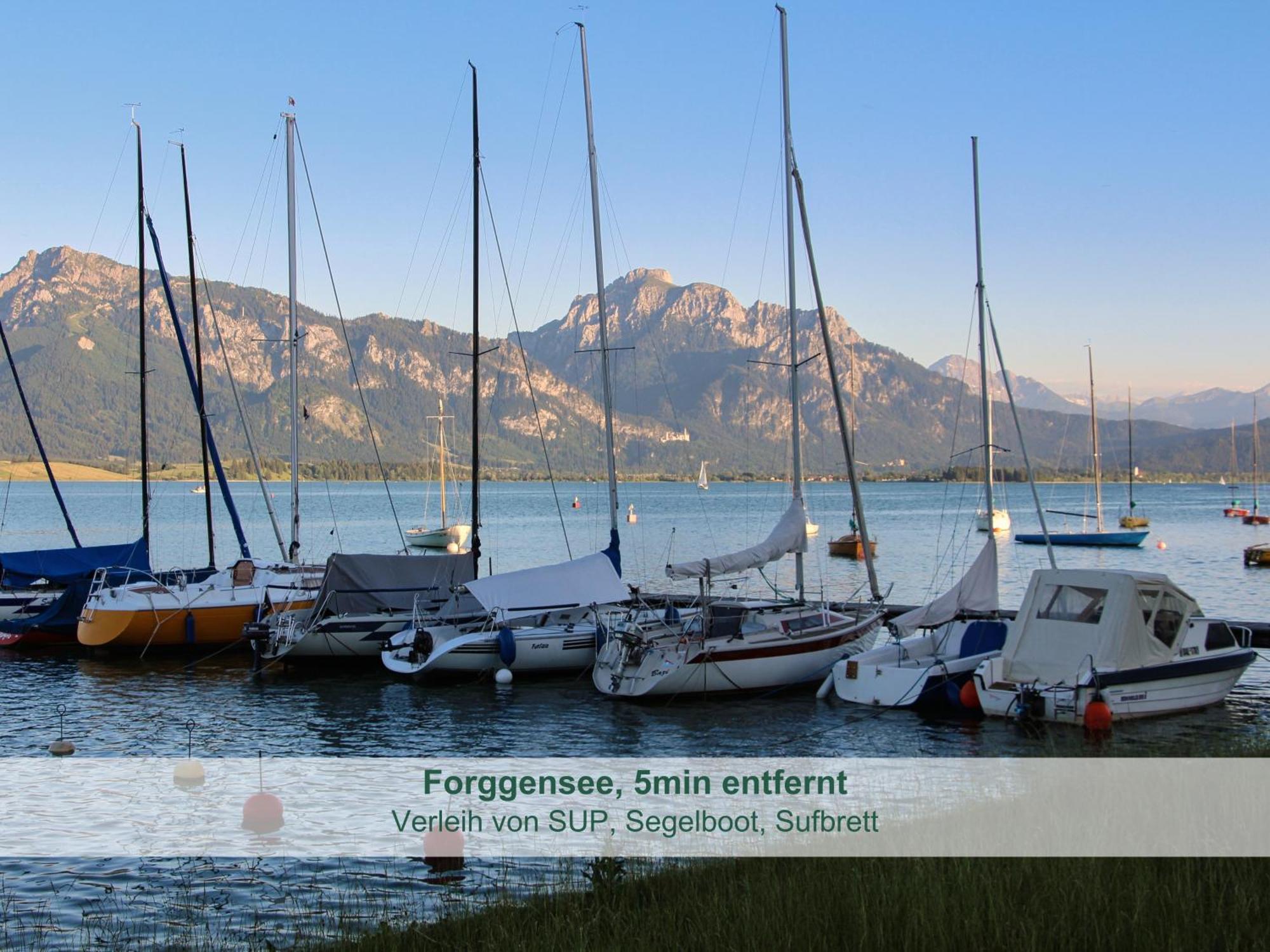 Chalet - Ferienwohnungen - Biohof Stoeger - Panoramasuedbalkon - Grandiose Aussicht Auf See, Berge Und Schloss Neuschwanstein Rieden am Forggensee Zewnętrze zdjęcie